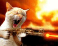 MAD CAT