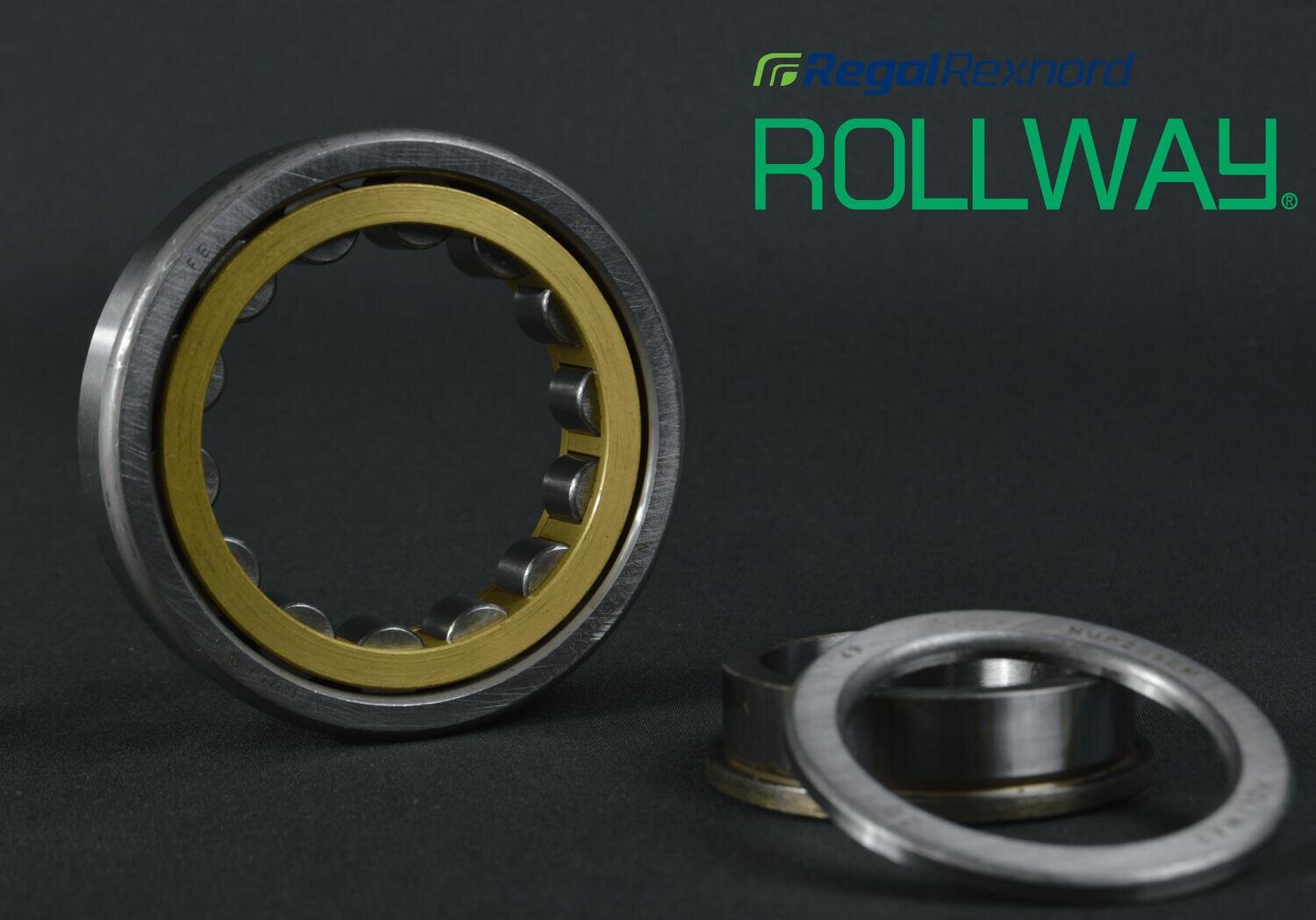 NUP309EMC3 Rollway