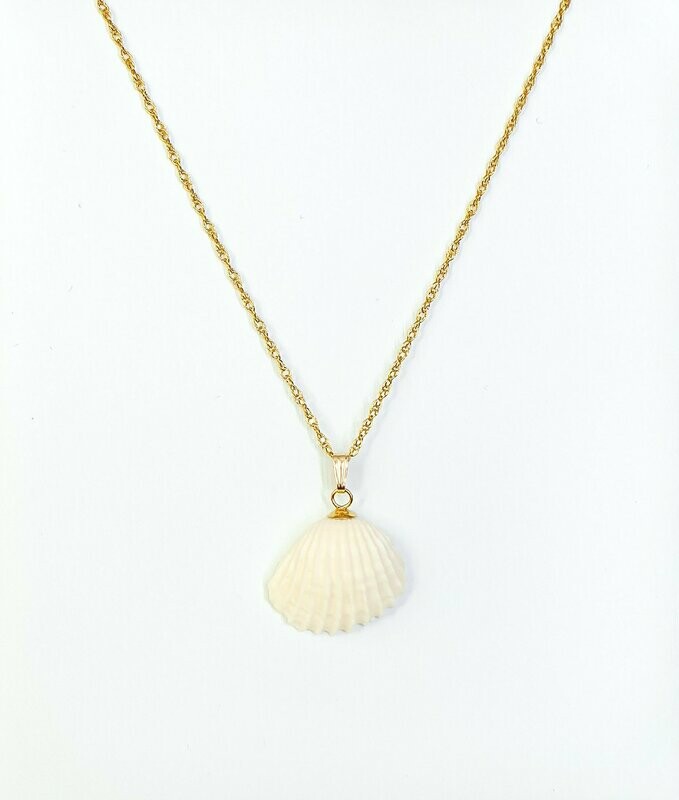 Fuli Seashell Necklace