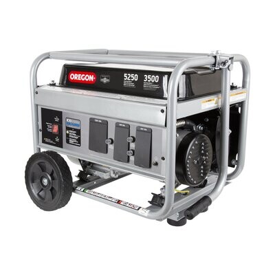 Oregon 3500W Portable Generator- Powered by Briggs &amp; Stratton