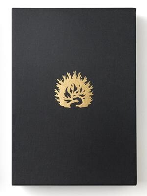 BIBLIA ESTUDIO REFORMA PIEL
