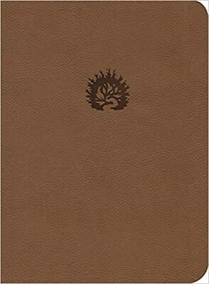 BIBLIA  ESTUDIO DE LA REFORMA