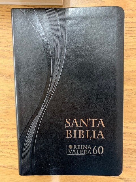 BIBLIA RV60