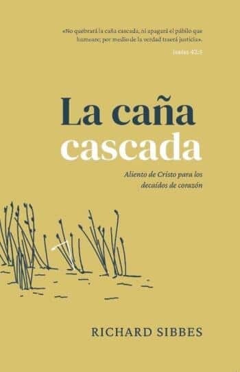 LA CAÑA CASCADA