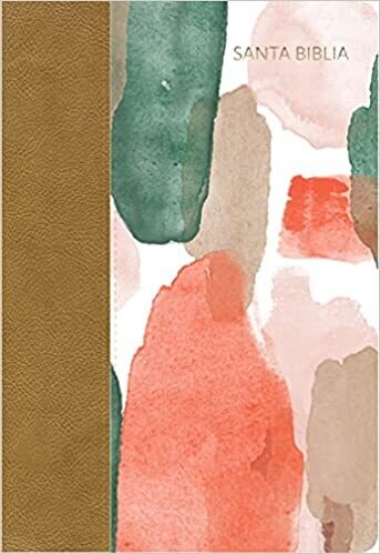 BIBLIA RVR1960 MANUAL MULTICOLOR SIN INDICE