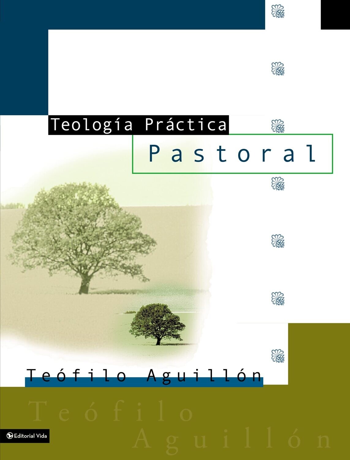 TEOLOGÍA PRÁCTICA PASTORAL