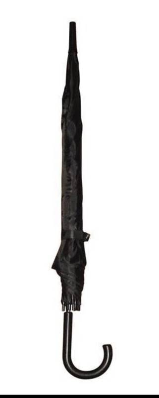 EDEN PLASTIC CURVED HANDLE UMBRELLA