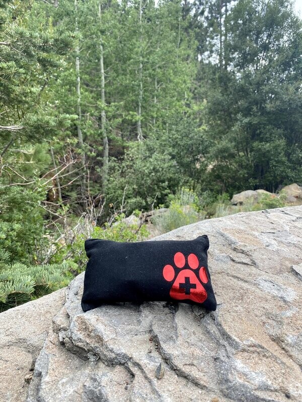 Dog First Aid Kit (Black/Green)