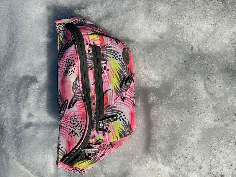 Fanny Pack (Pink)