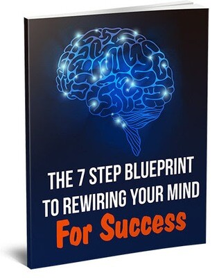 The 7 Step Blueprint to Rewiring Your Mind For Success