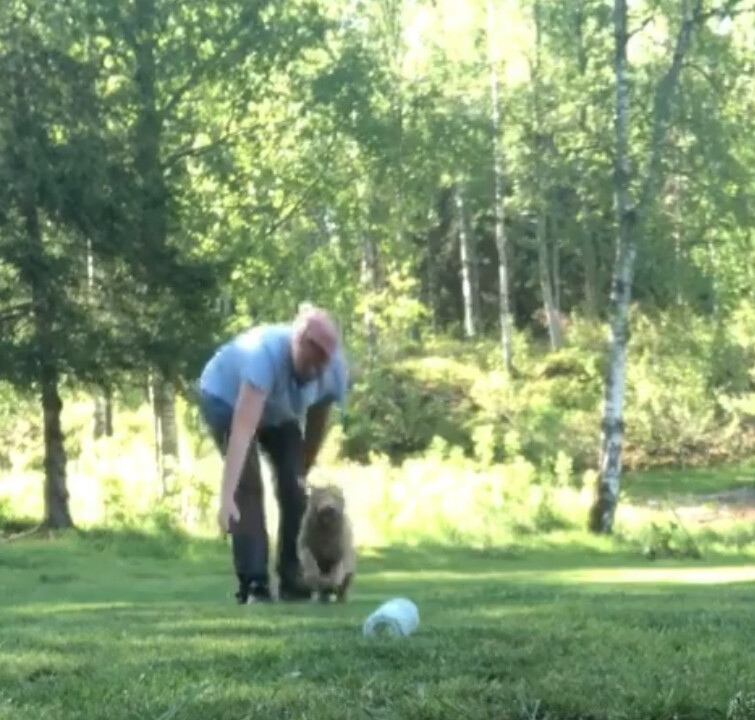 HUNDKURSER MarCi