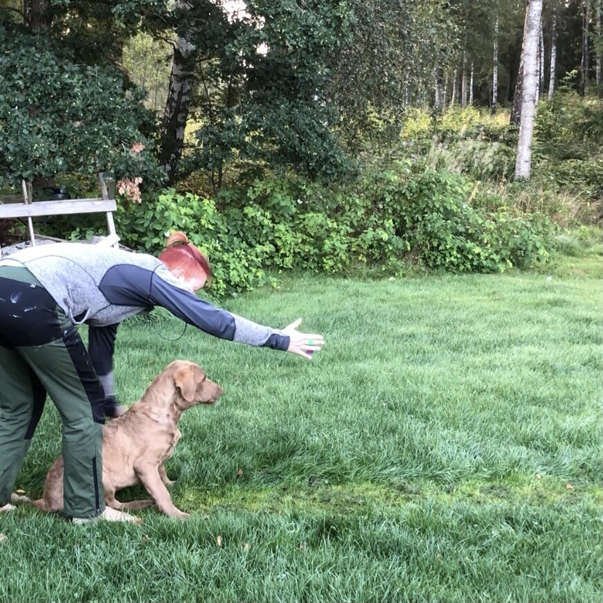 HUNDKURSER MarCi