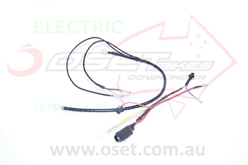 Wire Harness - NEG for 20E, 20R