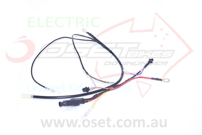 Wire Harness - NEG, 16E, 16R, 20L