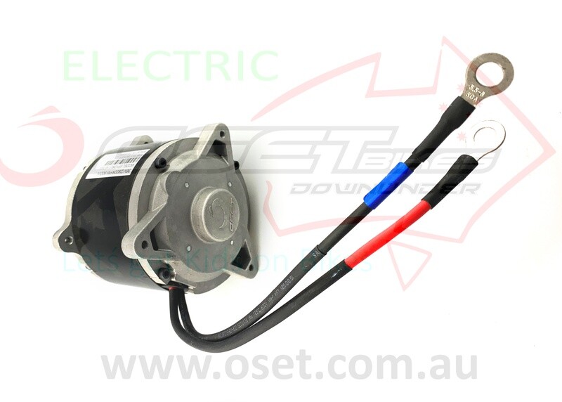 Motor 36v 800w Brushed OSET16E,R