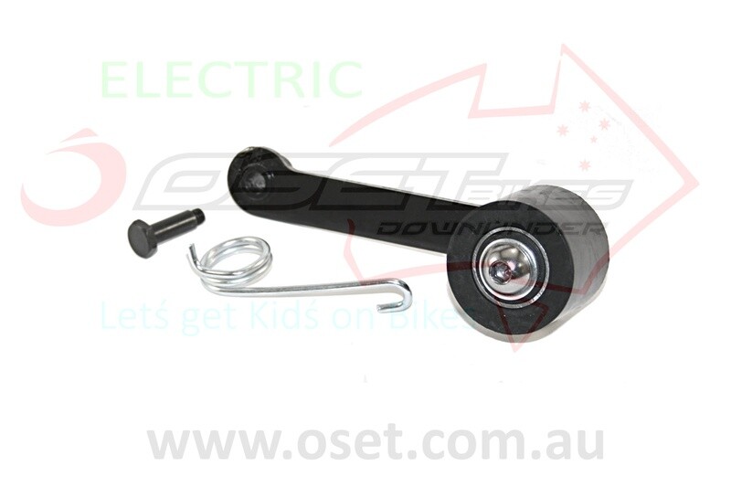 Chain Tensioner Bearings 24R