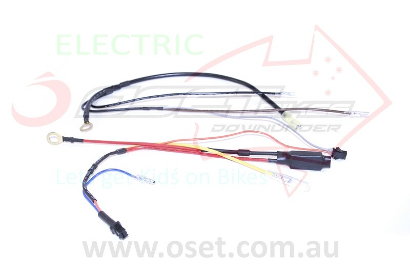 Wire Harness NEG- 12.5E, 12.5R