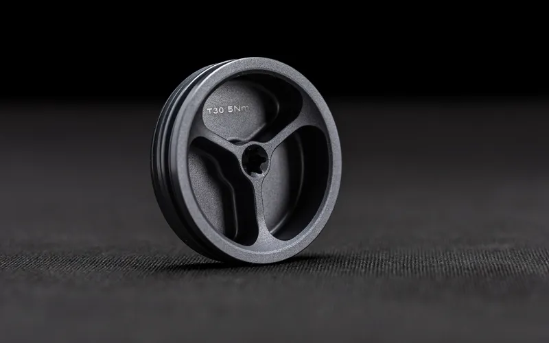 Motor Case &amp; Swingarm Side Cap Aluminium (1 Piece)