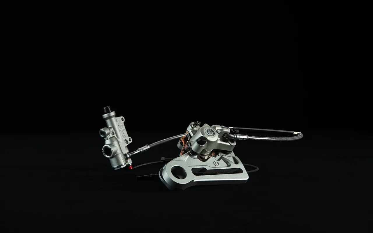 Rear Foot Brake Assembly