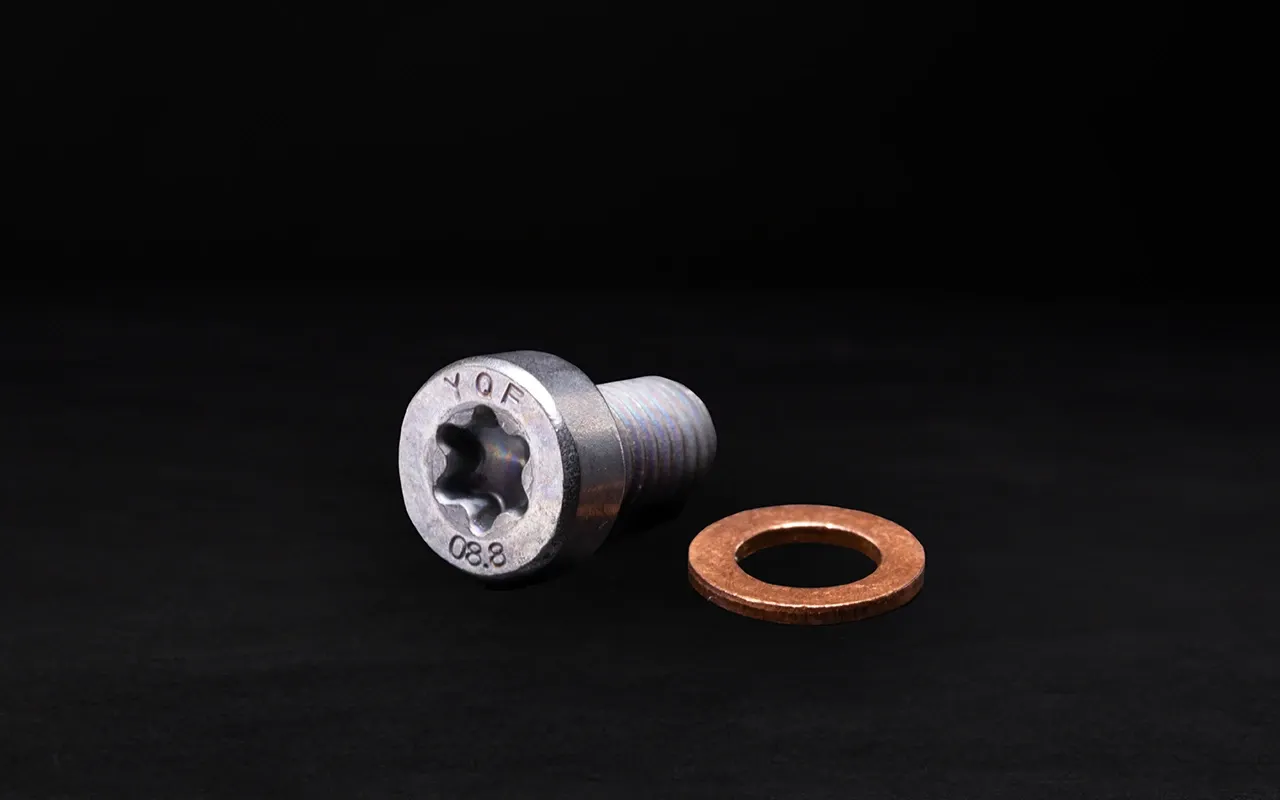 Gear Oil Level Bolt Washer