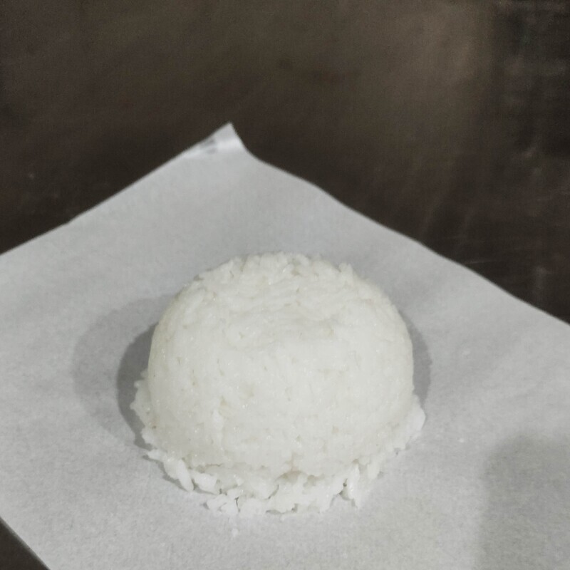(PR) Plain Rice