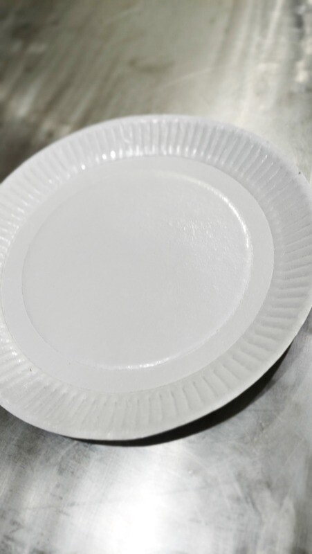 (PL) Paper Plate