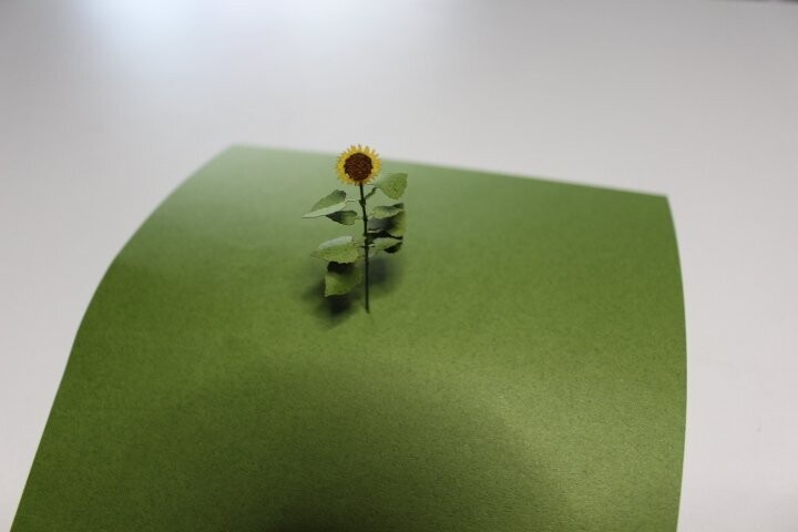Sonnenblumen Set