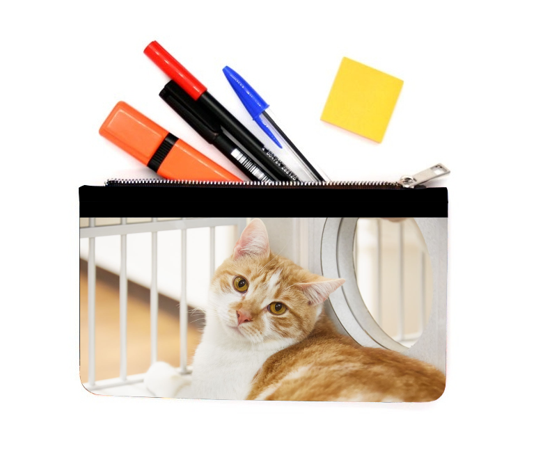 Pencil Case