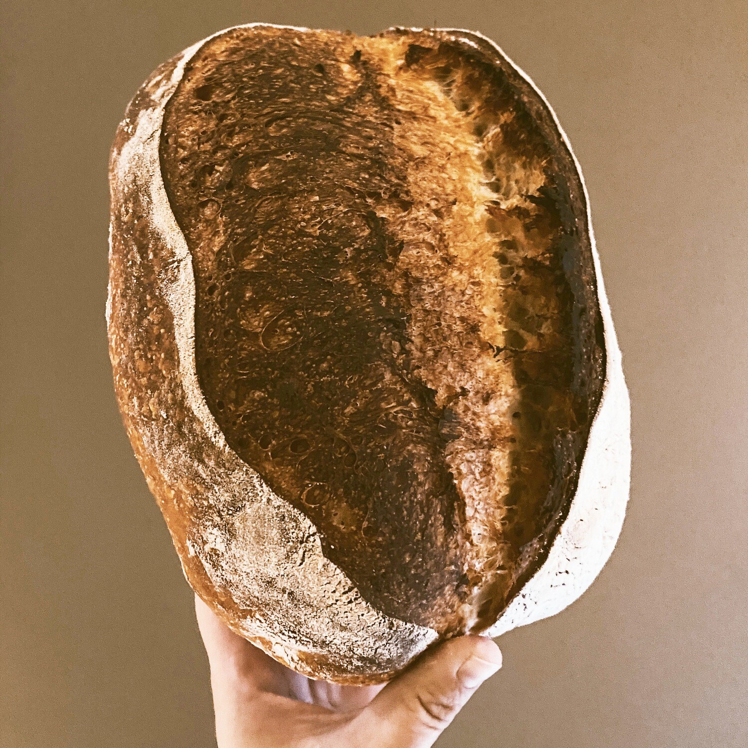Tomato and Cumin Sourdough