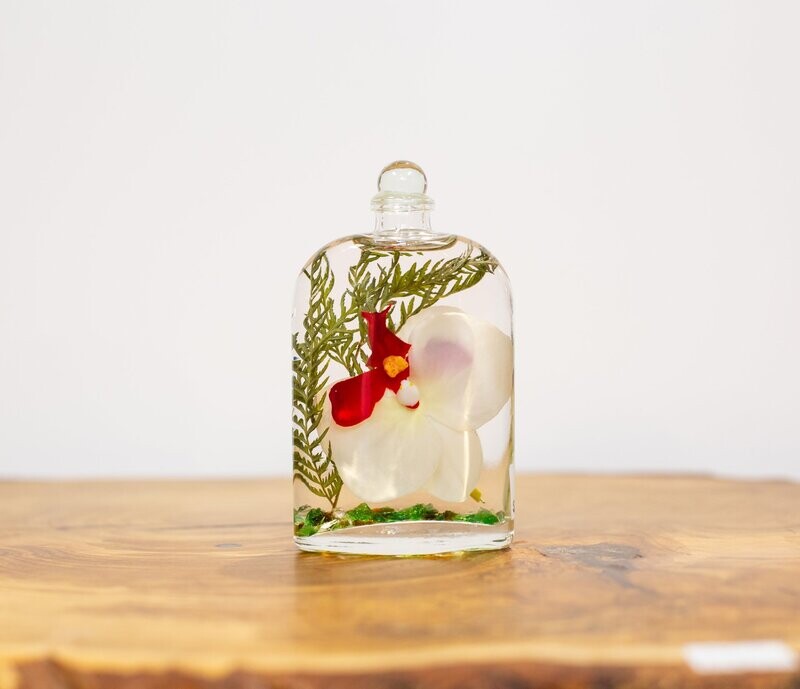 Oval "White Orchid"