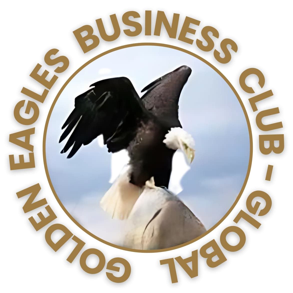 PLUS Membership of the Golden Eagles Business Club &amp; Afri SA - Monthly Service Fees -
