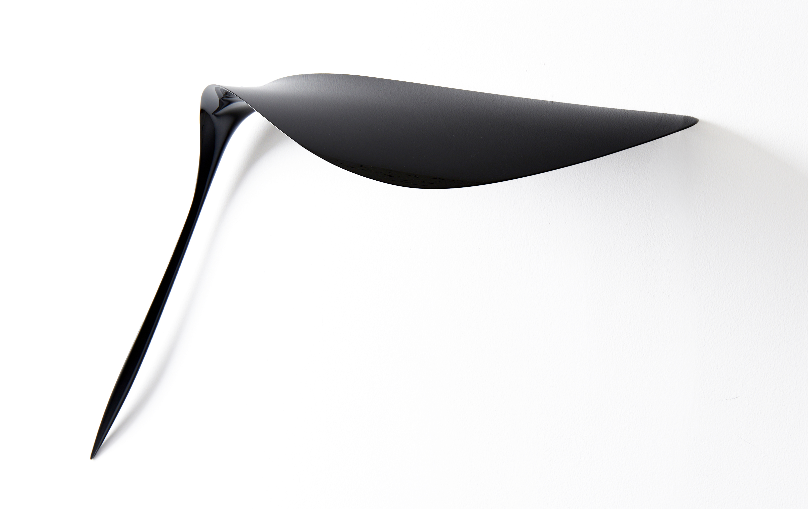 Noctural Imagination