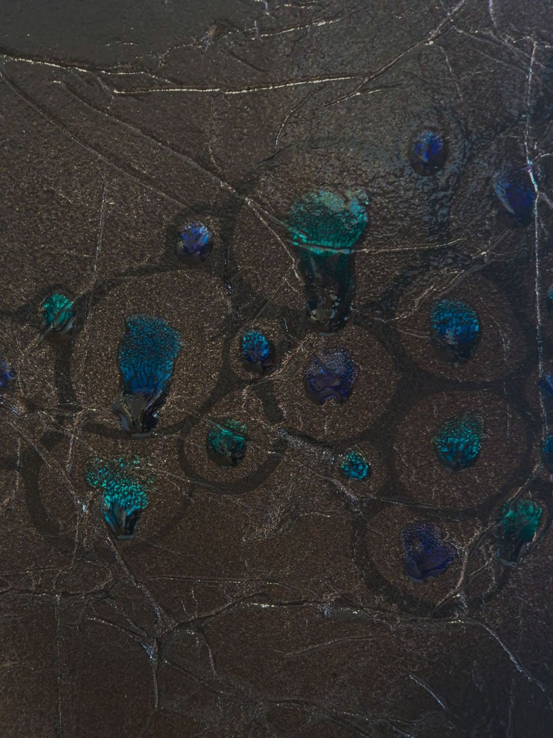 Phenotype -Flow of Cells-