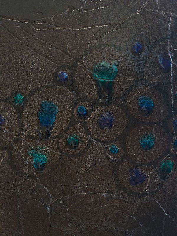 Phenotype -Flow of Cells-