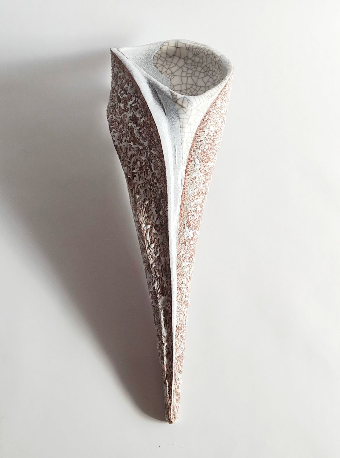 殻’25－羽　№14 Shell’２５－eclosion №１４