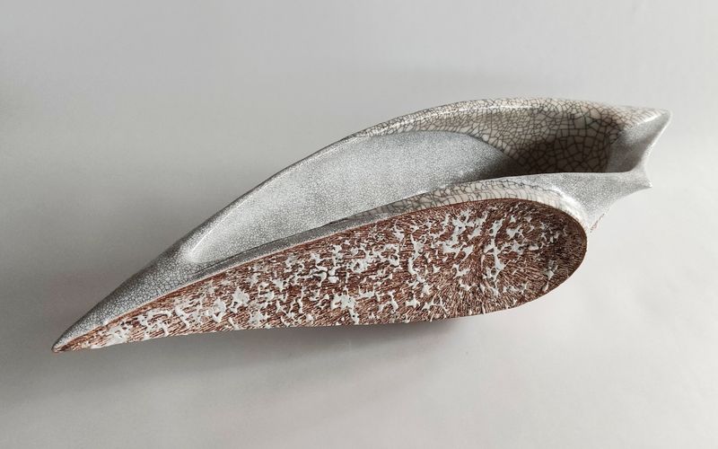 殻’25－羽　№10　　Shell’２５－eclosion　№１０