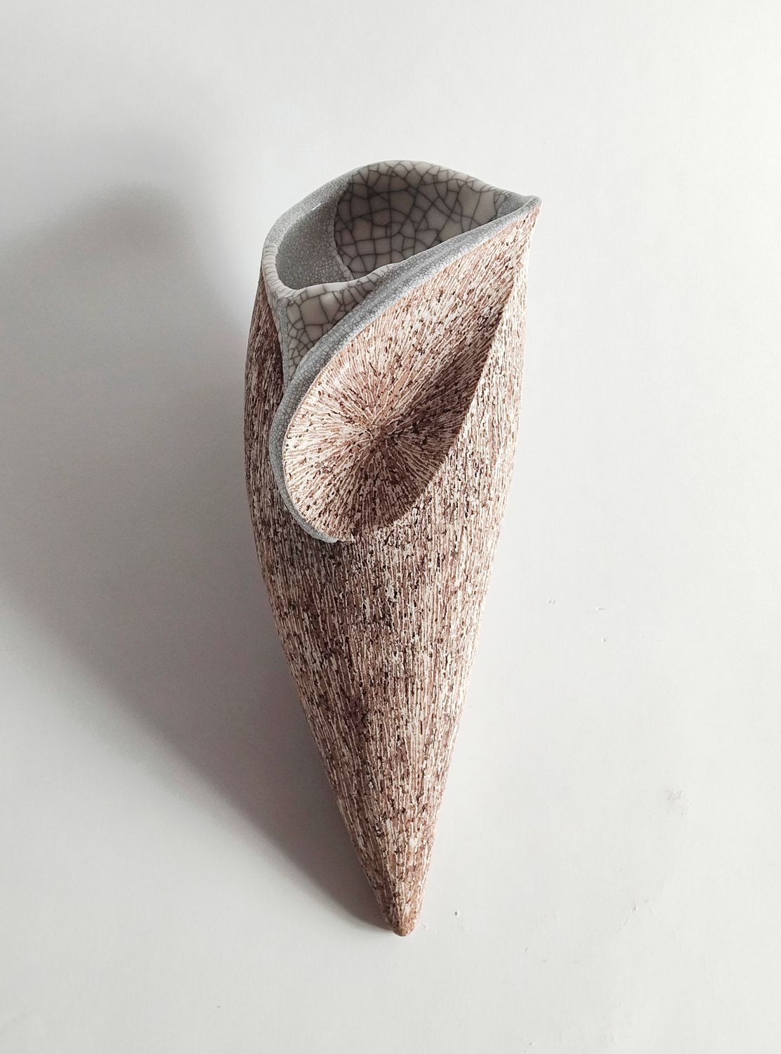 殻’25－羽　№14　　Shell’２５－eclosion　№１４