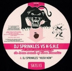 DJ Sprinkles Vs K-S.H.E - Hush Now / B2B