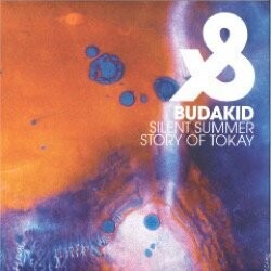 Budakid - Silent Summer