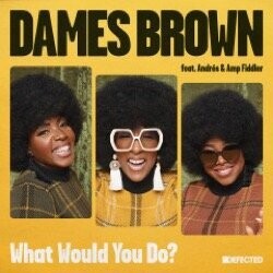 James Brown featuring Andrés & Amp Fiddler - What Would You Do?
