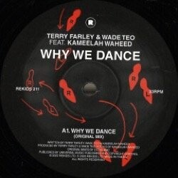 Terry Farley & Wade Teo Feat. Kameelah Waheed - Why We Dance
