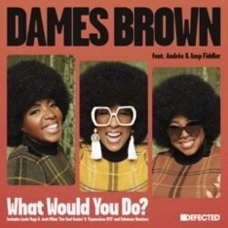 Dames Brown featuring Andrés & Amp Fiddler - What Would You Do? (Remixes)