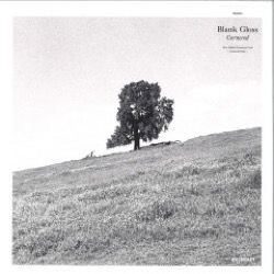 Blank Gloss - Cornered