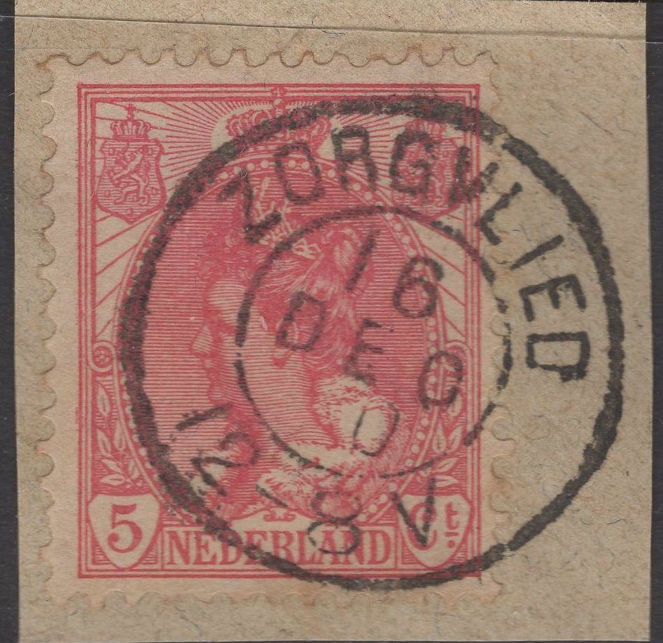 Zorgvlied op nvph 60
