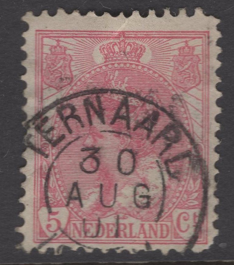 Ternaard op nvph 60
