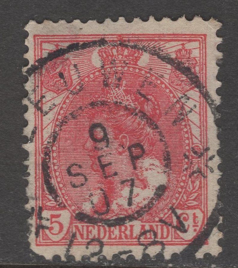 Leeuwen op nvph 60