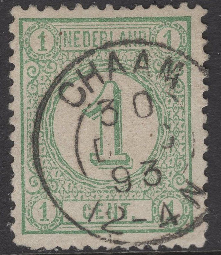 Chaam op nvph 31