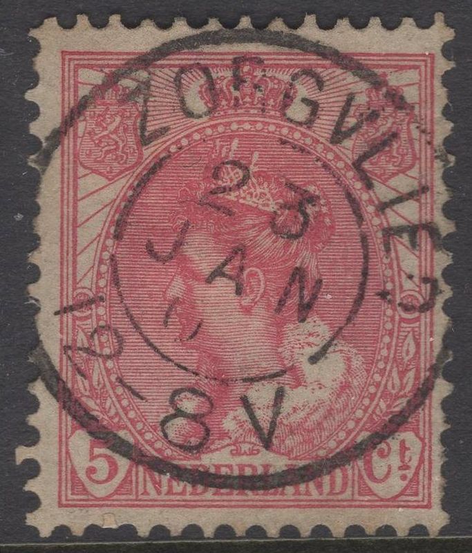 Zorgvlied op nvph 60
