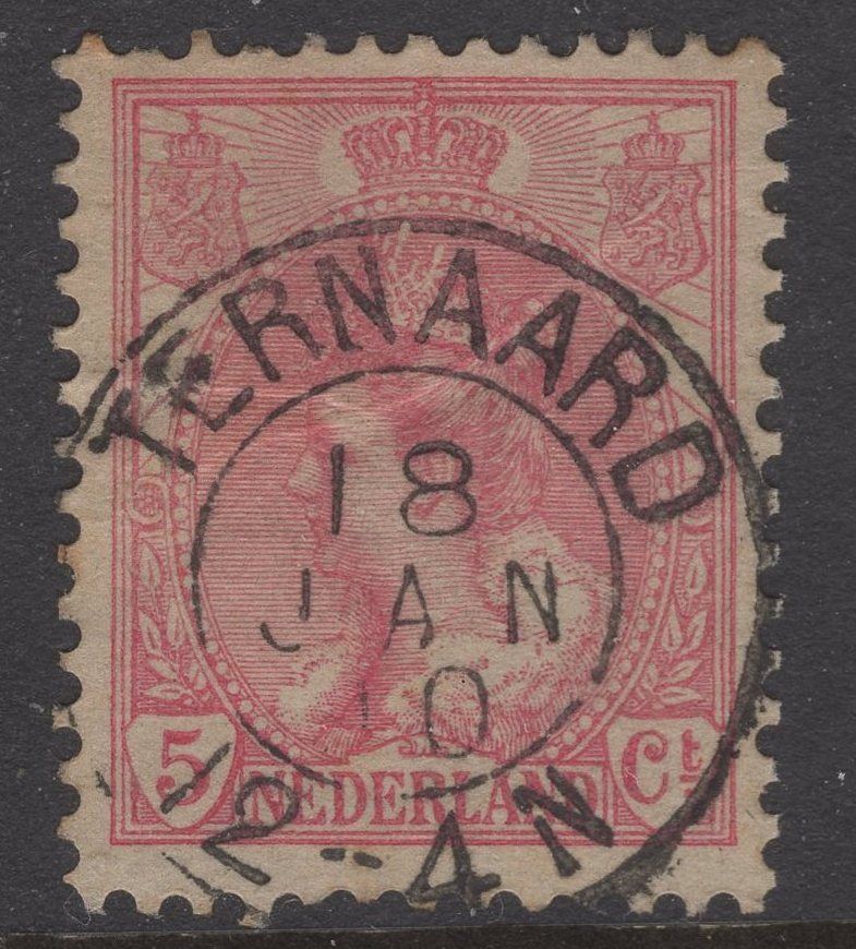 Ternaard op nvph 60