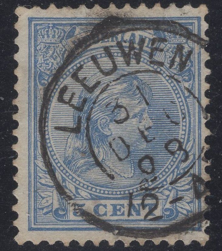 Leeuwen op nvph 35